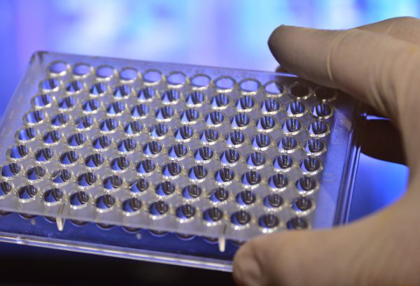 Pyroplate 96 well microplate - 10