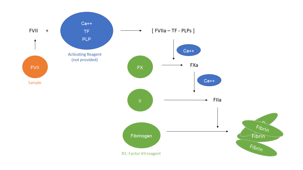 factor 7 deficiency treatment