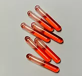 Spore Ampules 10<SUP>6</SUP>