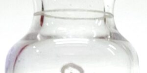 Spore Ampules 10<SUP>6</SUP> + Negative Controls